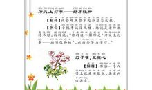 拜年的话歇后语