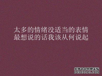 一个人喜欢的句子