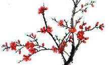 形容梅花的比喻句