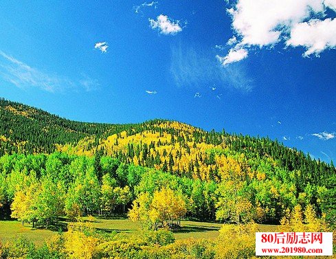 赞美美丽的句子