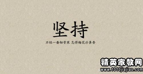 赞美团队合作的句子