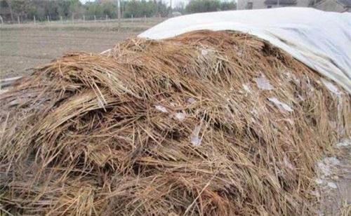 秸秆堆埋石
