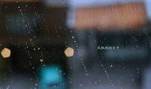 最伤感的句子说说：让我习惯每一个没有你的日子