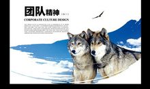 赞美团队精神的句子