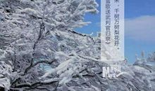 形容大雪的诗句