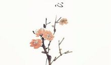 表达相思的古诗词