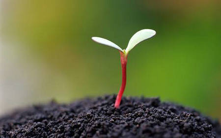 不要哭，人们独自一人走，我​​们都必须努力