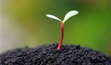 不哭，人都在孤独中独行，我们都要努力生活