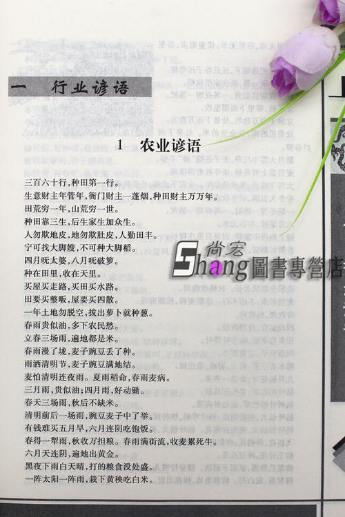 与书有关的谚语