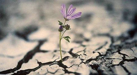 不要哭，人们独自一人走，我​​们都必须努力工作才能生活1