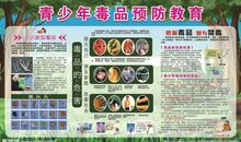 毒品预防教育宣传口号