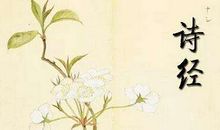 诗经中励志的句子