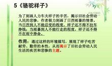 描写骆驼的比喻句