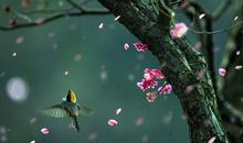 意气风发造句大全