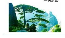 描写黄山松的诗句