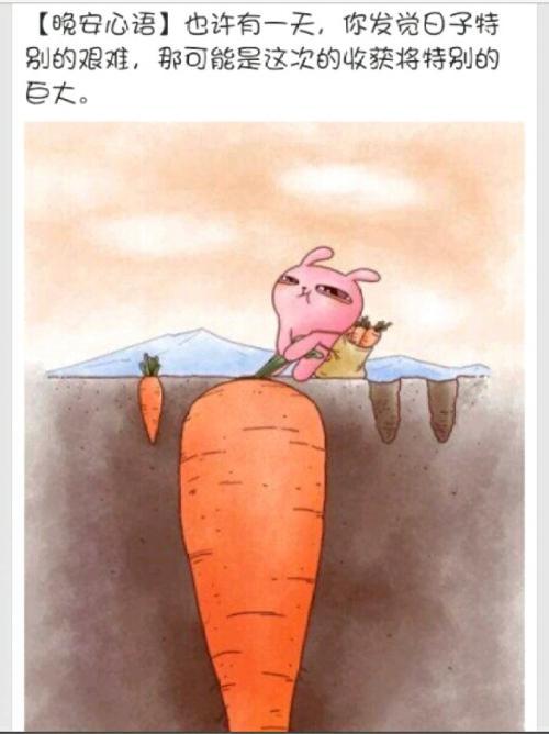 重阳节感动正能量句子