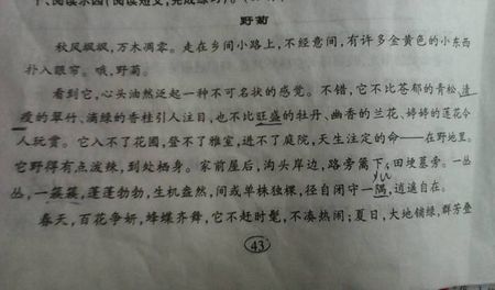关于困难的寓言