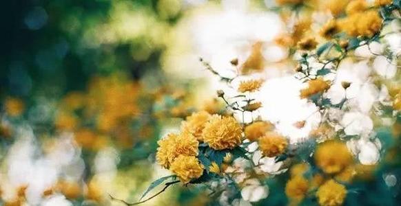 2020年最幸福的一句话