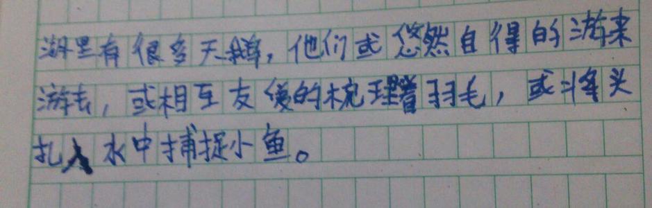 因此，用一句话