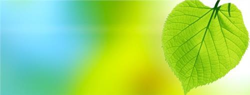 植物写拟人化的句子