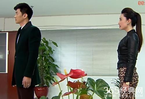 家居与万事兴经典台词