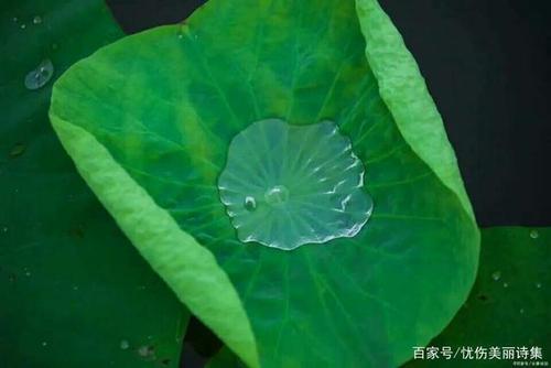 撒大量水放在竹排上