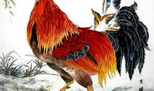 公鸡飞到屋顶上歇后语