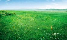 一望无际的造句