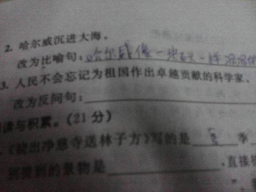 关于家庭的寓言