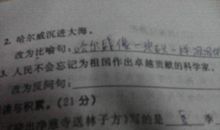 有关家的比喻句