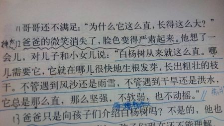 总是用任何东西写一个句子