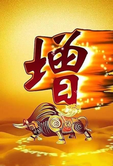 保险公司霸气增加口号