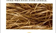 感情忠贞的诗句