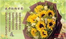 自信阳光的句子