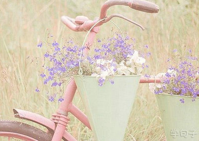 英语中的审美句子：让我爱你1