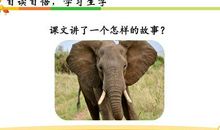 人的耳朵比喻句