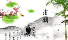 植树造林方面的谚语