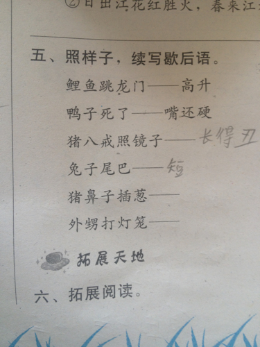 关于竹的寓言词