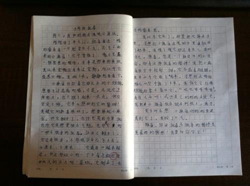 能专心做事的句子