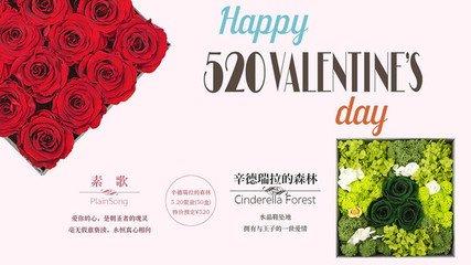 第520章妻子的祝福