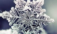 形容森林比喻句