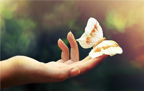 早晨，谈论感受生活