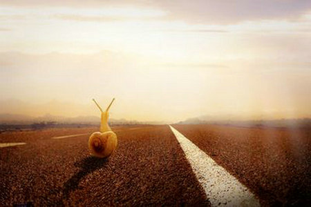 您付出的每一分都会得到1分