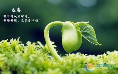 关于树木的谚语