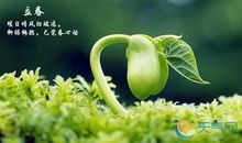 关于树木的谚语