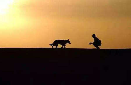 每投入1分，您就可以获得1分