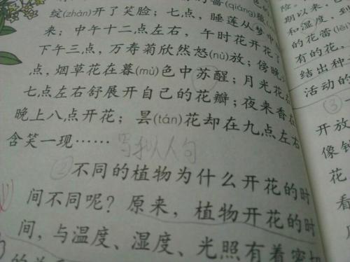 写拟人化的句子的单词