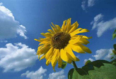 励志句和个人签名：生活只有逃跑的美，没有等待的荣耀