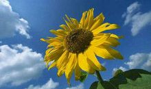 励志的句子个性签名：人生只有出走的美丽，而没有等出来的辉煌