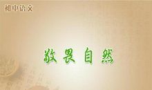 含有哲理性的句子